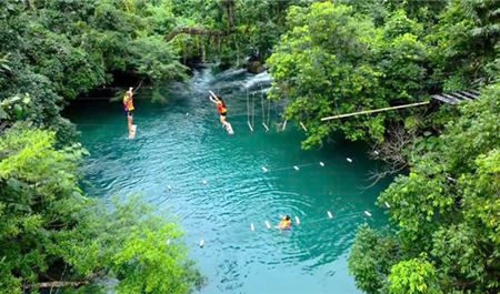 Tour Quảng Bình Trong Ngày (Đón Từ Đồng Hới): Trải Nghiệm Động Thiên Đường / Động Phong Nha - Suối Mọoc