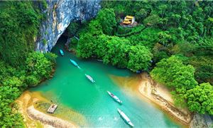 Động Phong Nha