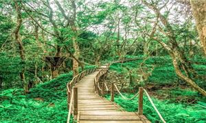 ivivu-cong-vien-ozo-quang-binh-3.jpg