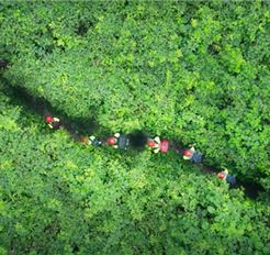 Tour Quảng Bình Trong Ngày (Đón Tại Phong Nha): Trekking Thung Lũng Sinh Tồn - Hang E