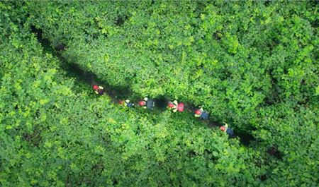 Tour Quảng Bình Trong Ngày (Đón Tại Phong Nha): Trekking Thung Lũng Sinh Tồn - Hang E