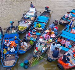 Tour Miền Tây Trong Ngày: Cần Thơ City - Một Ngày Tây Đô