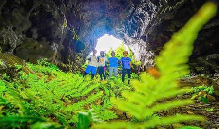 Tour Quảng Bình Trong Ngày: Khám Phá Hang Voi - Thung Lũng Ma Đa