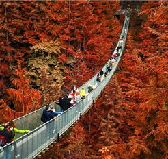 Tour Bờ Tây Canada 7N6Đ: TP.HCM - Khám Phá Canada - Vancouver - Đảo Victoria