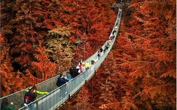 Tour Bờ Tây Canada 7N6Đ: TP.HCM - Khám Phá Canada - Vancouver - Đảo Victoria