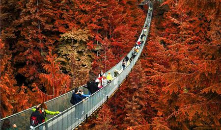 Tour Bờ Tây Canada 7N6Đ: TP.HCM - Khám Phá Canada - Vancouver - Đảo Victoria