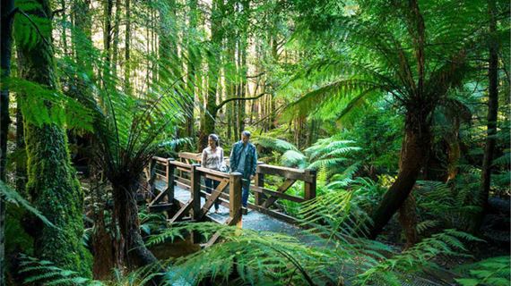 Công Viên Dangdenong