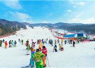 Tour Tết Hàn Quốc 5N4Đ: HCM - Công Viên Lotte World - Trượt Tuyết Elysian Gangchon