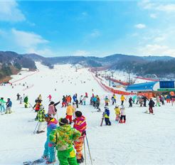 Tour Tết Hàn Quốc 5N4Đ: HCM - Công Viên Lotte World - Trượt Tuyết Yangji Pine