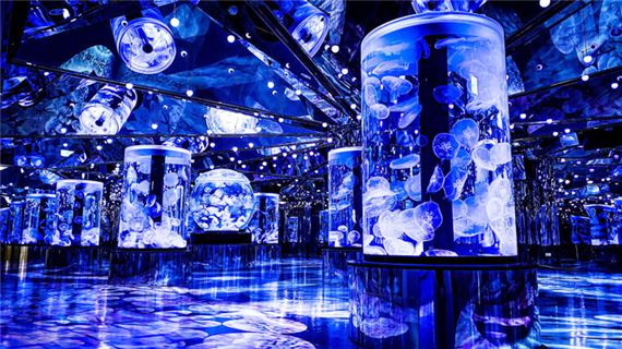 X-Park Xpark Aquarium - Thủy cung đẹp nhất Đài Loan