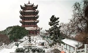 hoang-hac-lau-trung-quoc-ivv.gif