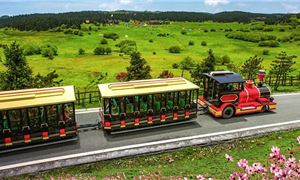 Vườn Quốc Gia Núi Tiên Nữ