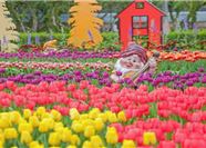 Tour Đài Loan 5N4Đ: HCM - Cao Hùng - Đài Trung - Đài Bắc - Vườn Hoa Sĩ Lâm