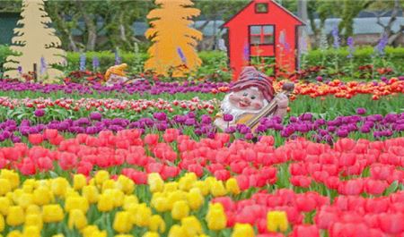 Tour Đài Loan 5N4Đ: HCM - Cao Hùng - Đài Trung - Đài Bắc - Vườn Hoa Sĩ Lâm