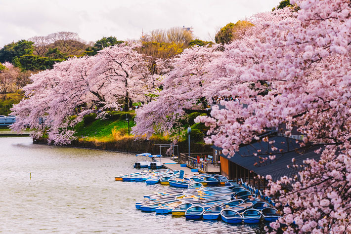 Đại lộ Chidorigafuchi