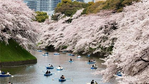 Đại Lộ Chidorigafuchi
