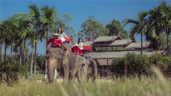 Trải nghiệm cưỡi voi.