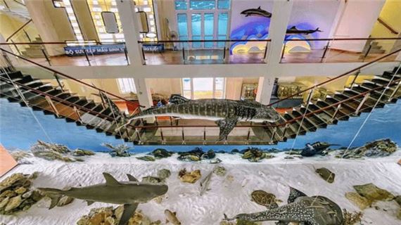 Viện Hải Dương Học Nha Trang.