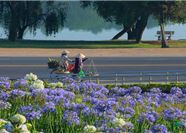 Tour Đà Lạt 3N3Đ: HCM - Samtens Hill - LangBiang Land - Trại Mát - Vườn Địa Đàng