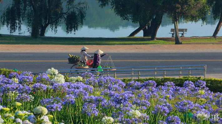 Du Xuân Đà Lạt