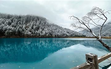 Tour Tết Trung Quốc 7N7Đ: HCM - Trùng Khánh - Thành Đô - Cửu Trại Câu - Đại Túc - No Shopping