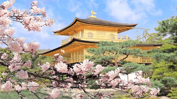 Chùa Vàng Kinkakuji.