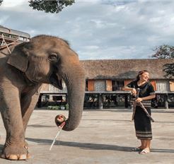 Tour Tết Tây Nguyên 3N3Đ: HCM - Buôn Mê Thuột - KDL Troh Bư - Tà Đùng