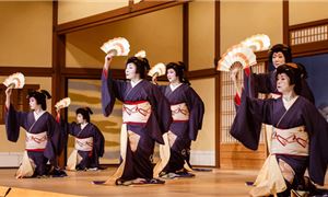 Show Maiko.
