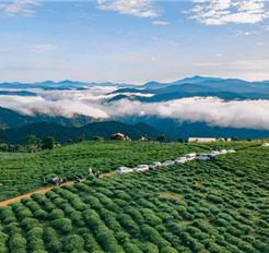 Tour Đà Lạt 3N3Đ: HCM - Thiên Đường Săn Mây - Puppy Farm - Vườn Địa Đàng