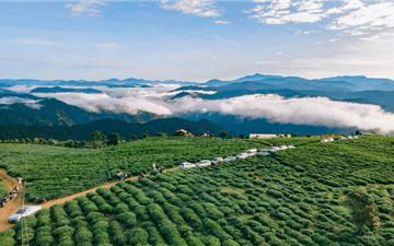 Tour Đà Lạt 3N3Đ: HCM - Thiên Đường Săn Mây - Puppy Farm - Vườn Địa Đàng