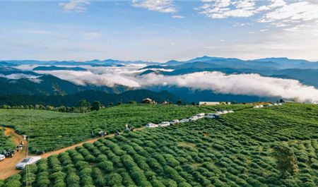 Tour Đà Lạt 3N3Đ: HCM - Thiên Đường Săn Mây - Puppy Farm - Vườn Địa Đàng