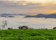 Tour Đà Lạt 3N3Đ: HCM - Săn Mây Cầu Đất - Langbiang Land - Gà Nướng Đập Lu - Quê Garden