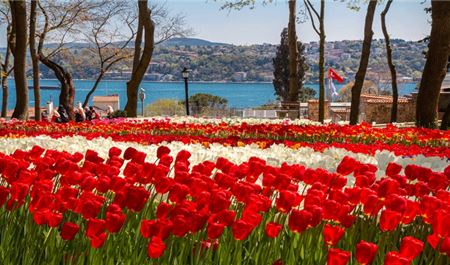 Tour Thổ Nhĩ Kỳ 8N7Đ: HCM - Istanbul - Canakkale - Cappadocia - Lâu Đài Bông Pamukkale