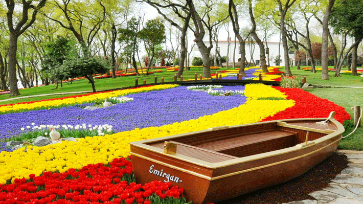 Công viên Emirgan rực rỡ sắc hoa tulip.