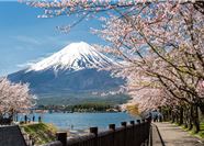 Tour Nhật Bản 5N4Đ: HCM - Narita - Tokyo - Vịnh Odaiba - Ngắm Hoa Anh Đào Kawazu