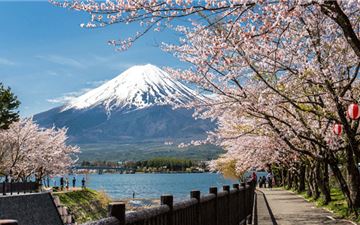 Tour Nhật Bản 5N4Đ: HCM - Narita - Tokyo - Vịnh Odaiba - Ngắm Hoa Anh Đào Kawazu