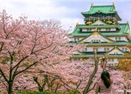 Tour Nhật Bản 6N5Đ: Hà Nội - Osaka - Kyoto - Phú Sĩ - Tokyo - Hoa Anh Đào