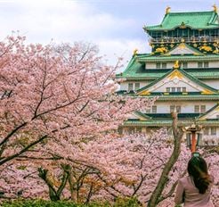 Tour Nhật Bản 5N5Đ: HCM - Tokyo - Nagoya - Kyoto - Osaka Hoa Anh Đào (Bay VNA)