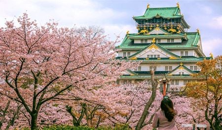 Tour Nhật Bản 5N5Đ: HCM - Tokyo - Nagoya - Kyoto - Osaka Hoa Anh Đào (Bay VNA)