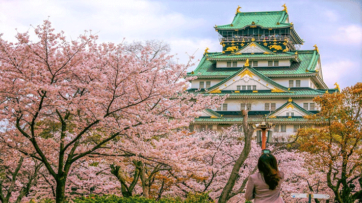 Lâu đài Osaka