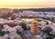 Tour Trung Quốc 7N7Đ: HCM - Vũ Hán - Tương Dương - Núi Võ Đang - Hoàng Hạc Lâu - No Shopping