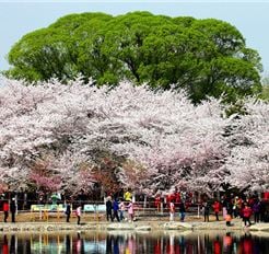 Tour Trung Quốc 5N4Đ: HCM - Bắc Kinh - Tử Cấm Thành - Vạn Lý Trường Thành - Công Viên Ngọc Uyên Đàm