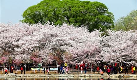 Tour Trung Quốc 5N4Đ: HCM - Bắc Kinh - Tử Cấm Thành - Vạn Lý Trường Thành - Công Viên Ngọc Uyên Đàm