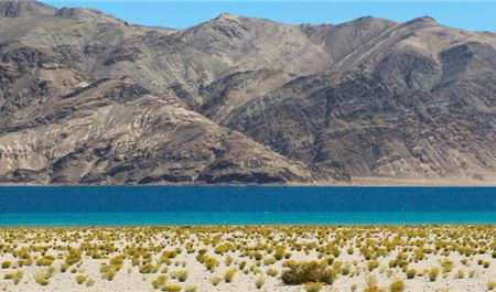 Tour Tây Tạng 9N8Đ: HCM - Lhasa - Lâm Chi - Hồ Yamdrok - No Shopping