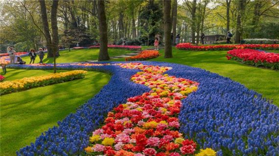 Vườn hoa Keukenhof.