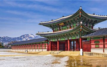 Tour Tết Hàn Quốc 5N4Đ: Đà Nẵng - Seoul - Đảo Nami - Lotte World - Tháp Namsan