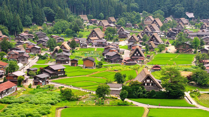 Ngôi làng cổ tích - Làng cổ Shirakawago.