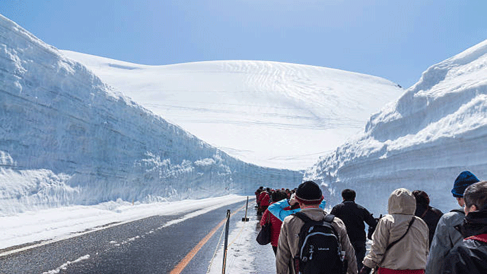 Tường tuyết Tateyama Kurobe Alpine Route.