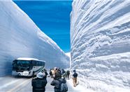 Tour Nhật Bản 5N4Đ: HCM - Tateyama - Kamikochi - Fuji Shibazakura - Shirakawago - Kanazawa