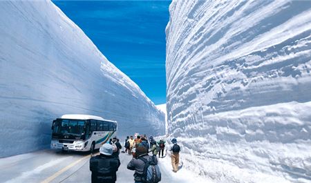 Tour Nhật Bản 5N4Đ: HCM - Tateyama - Kamikochi - Fuji Shibazakura - Shirakawago - Kanazawa